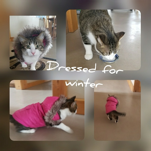 Meet your Posher, Beth - Picture 4 of 8